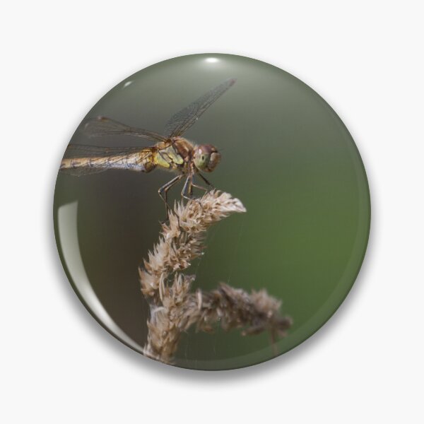 Artikelvorschau, Dragonflies Galore ! entworfen und verkauft von LaurenTucker.