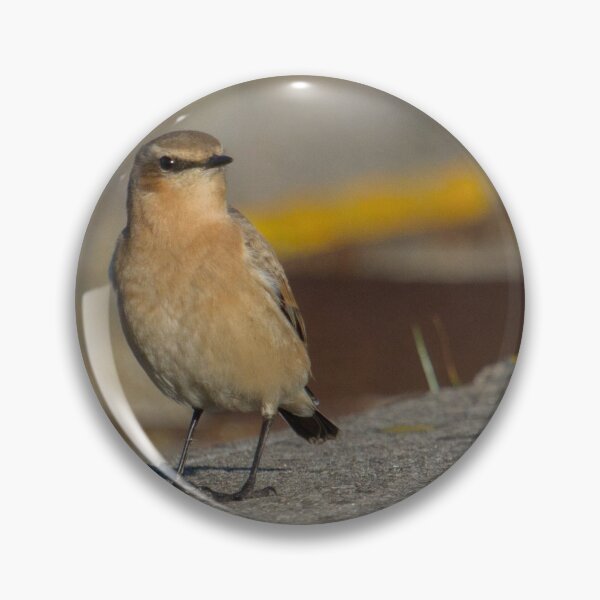 Item preview, Common Wheatear.. designed and sold by LaurenTucker.
