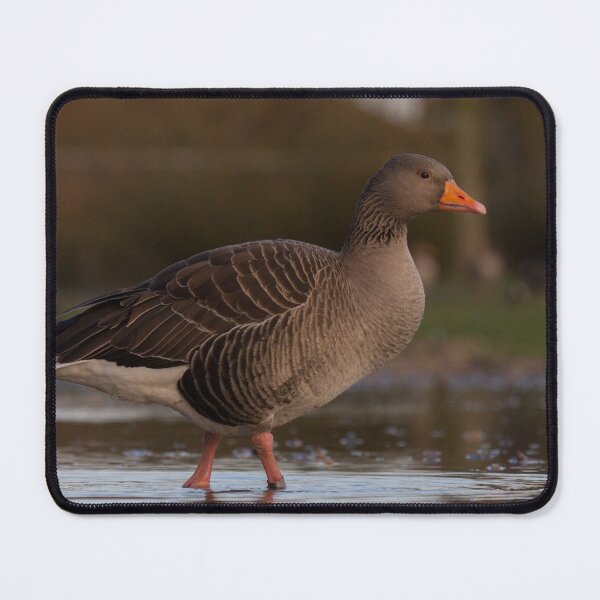 Item preview, Greylag Goose designed and sold by LaurenTucker.