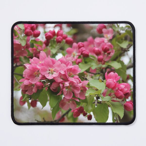 Item preview, Spring designed and sold by Marc Penner.