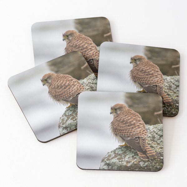 Item preview, Kestrel Pose! designed and sold by LaurenTucker.