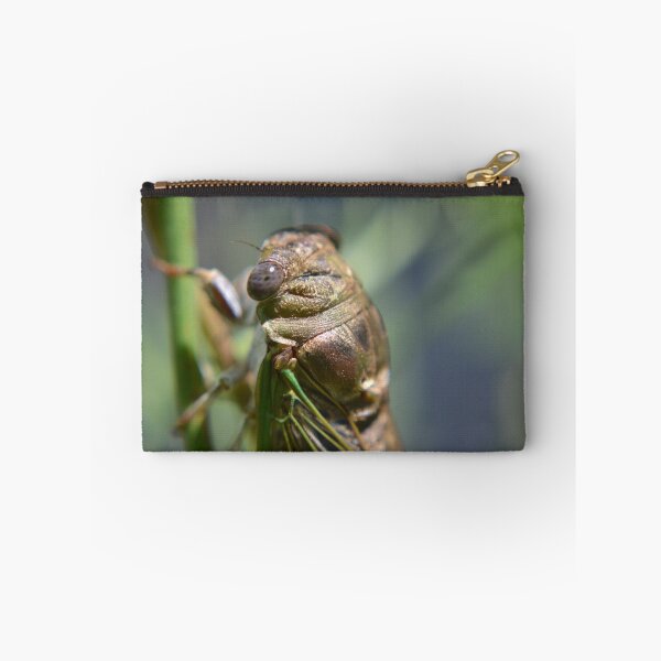 Item preview, Golden cicada designed and sold by Kate Farkas.