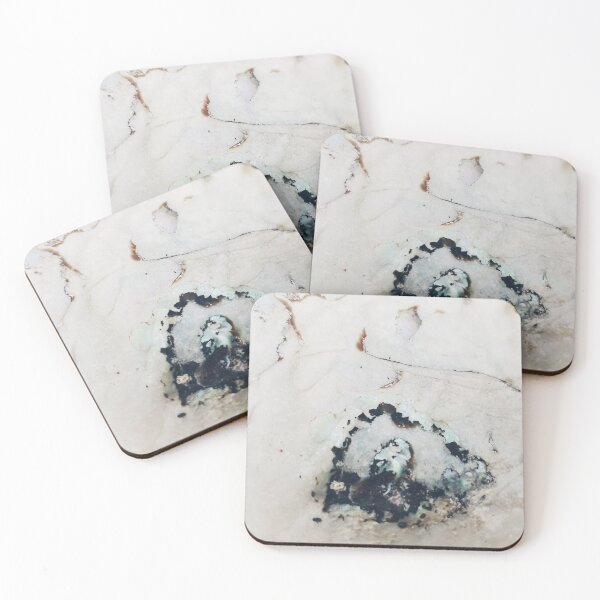 Item preview, IMAGE PRINT ONLY Abalone Art Hidden Art in Nature In The Castle Window designed and sold by Beachy.
