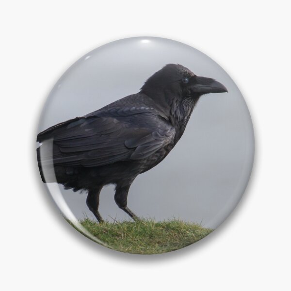 Item preview, Raven. designed and sold by LaurenTucker.
