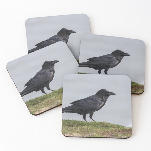 Item preview, Raven. designed and sold by LaurenTucker.