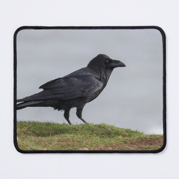 Item preview, Raven. designed and sold by LaurenTucker.
