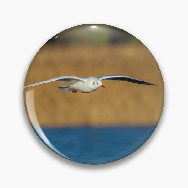 Artikelvorschau, Black-Headed Gull - Chroicocephalus ridibundus entworfen und verkauft von LaurenTucker.