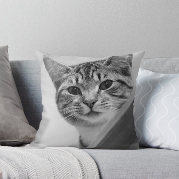 Item preview, Leo Posing.. designed and sold by LaurenTucker.
