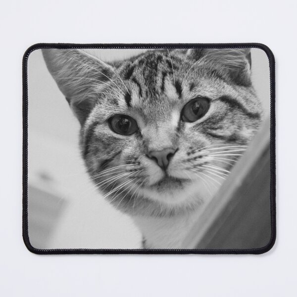 Item preview, Leo Posing.. designed and sold by LaurenTucker.