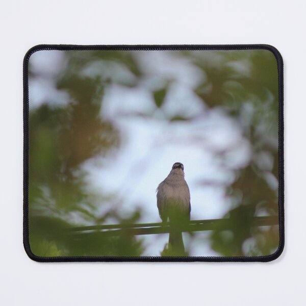 Item preview, Birds in the Backyard designed and sold by Marc Penner.