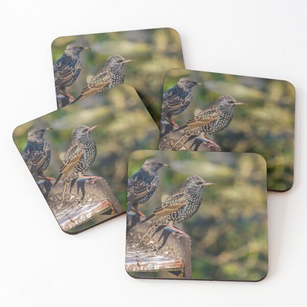 Item preview, Starling - Sturnus vulgaris designed and sold by LaurenTucker.