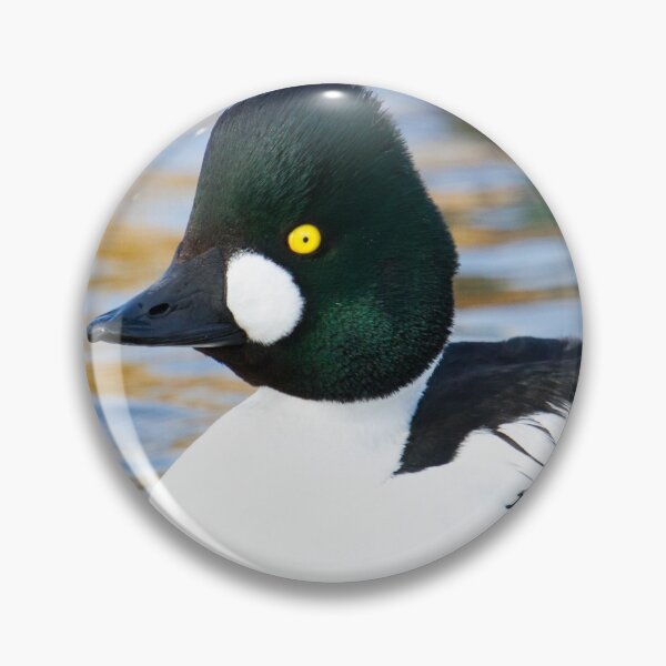 Item preview, Goldeneye - Bucephala Clangula designed and sold by LaurenTucker.