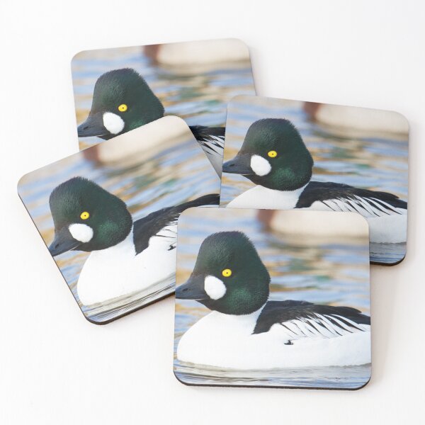 Item preview, Goldeneye - Bucephala Clangula designed and sold by LaurenTucker.