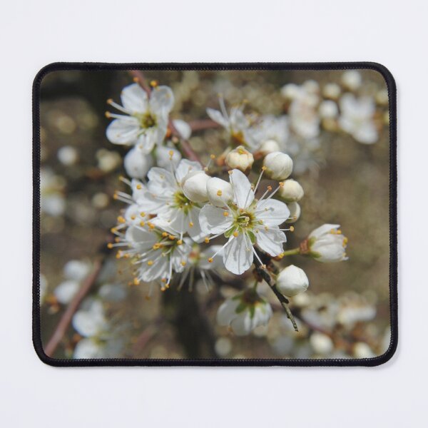Item preview, Beautiful Blossom designed and sold by LaurenTucker.