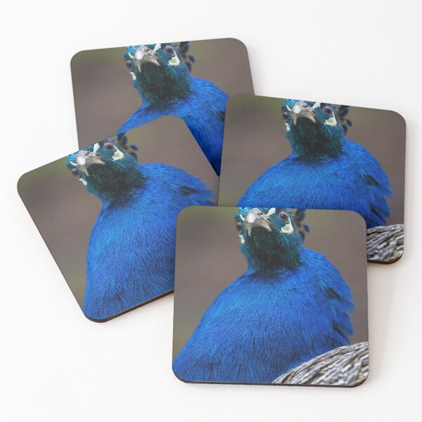 Artikelvorschau, A Stunning Pheasant! entworfen und verkauft von LaurenTucker.