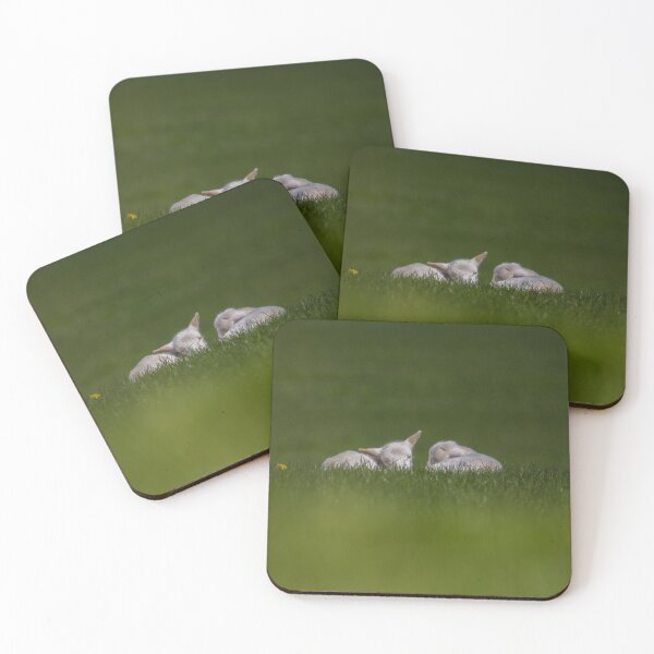 Artikelvorschau, Cute Little Lambs.. entworfen und verkauft von LaurenTucker.