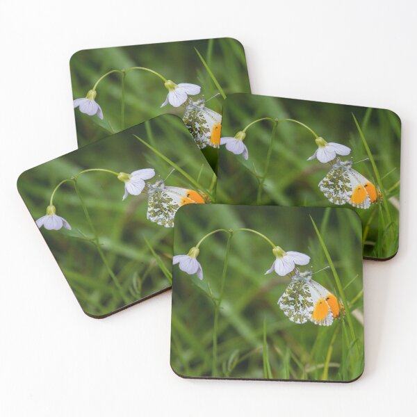Item preview, Orange-Tip Butterfly.. designed and sold by LaurenTucker.