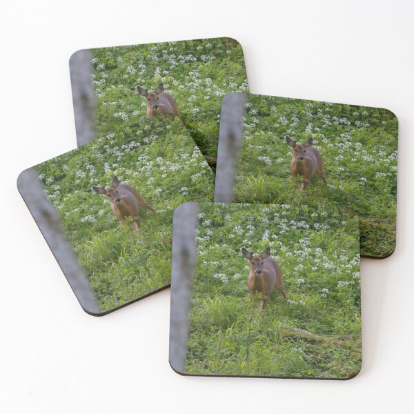 Aperçu de l'œuvre Stunning Roe Deer.. créée et vendue par LaurenTucker.