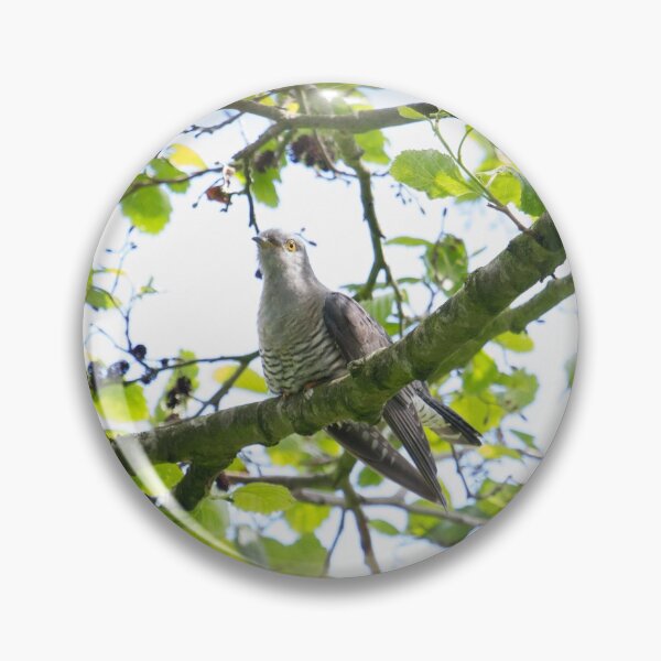 Item preview, Cuckoo !! designed and sold by LaurenTucker.