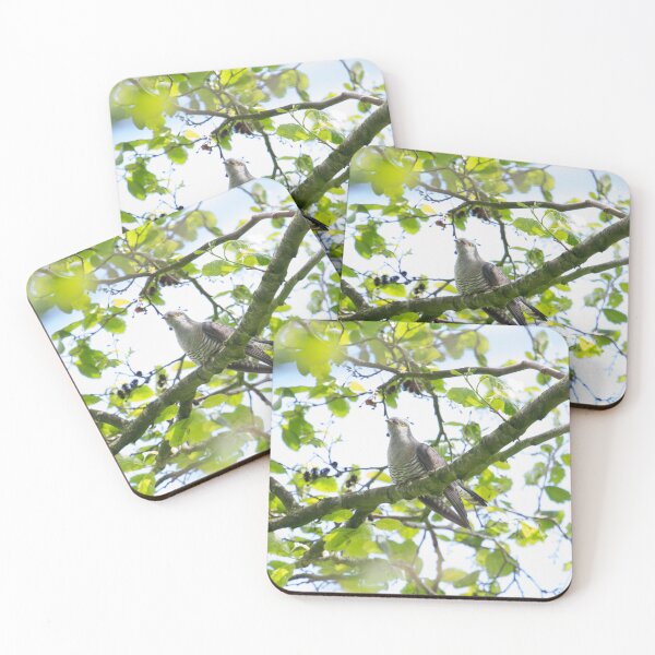 Item preview, Cuckoo !! designed and sold by LaurenTucker.