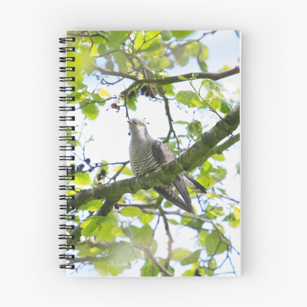 Item preview, Cuckoo !! designed and sold by LaurenTucker.
