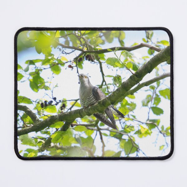 Item preview, Cuckoo !! designed and sold by LaurenTucker.