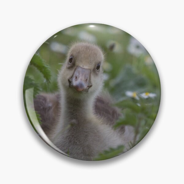 Item preview, What You Looking At ?!? designed and sold by LaurenTucker.