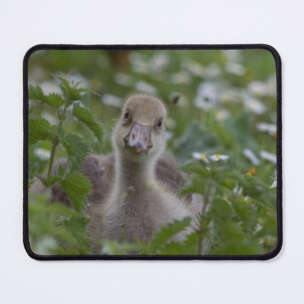Item preview, What You Looking At ?!? designed and sold by LaurenTucker.