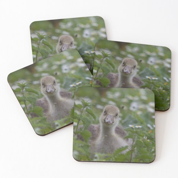 Item preview, What You Looking At ?!? designed and sold by LaurenTucker.