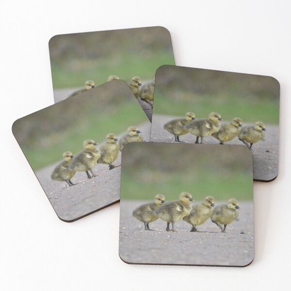 Item preview, Gosling squad designed and sold by ClaireChown.