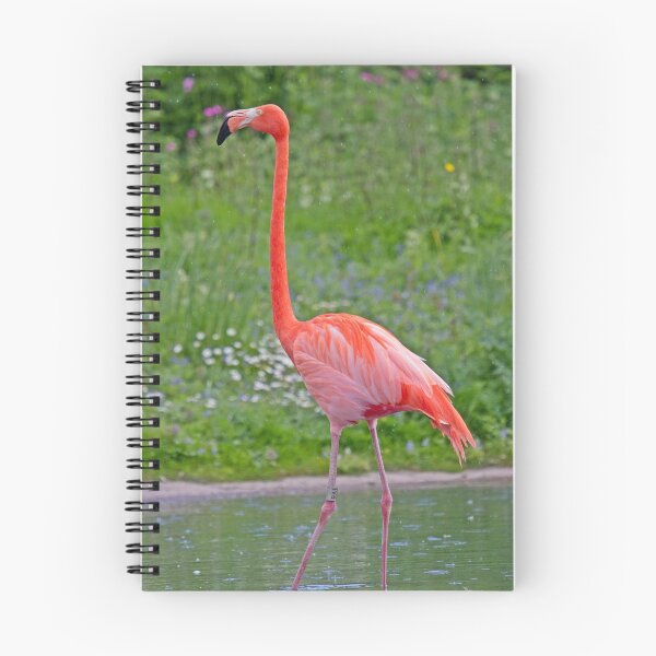 Item preview, Caribbean Flamingo! designed and sold by LaurenTucker.