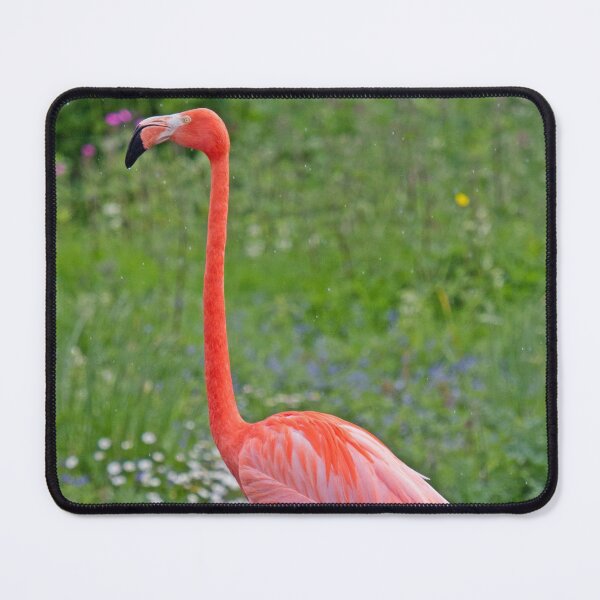 Item preview, Caribbean Flamingo! designed and sold by LaurenTucker.