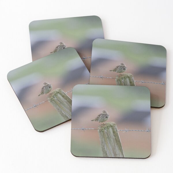 Item preview, Colourful Pipit.. designed and sold by LaurenTucker.