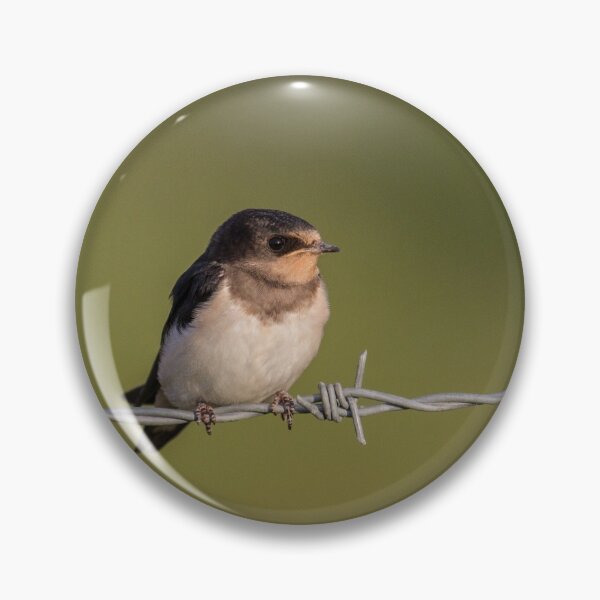 Item preview, Barn Swallow.. designed and sold by LaurenTucker.
