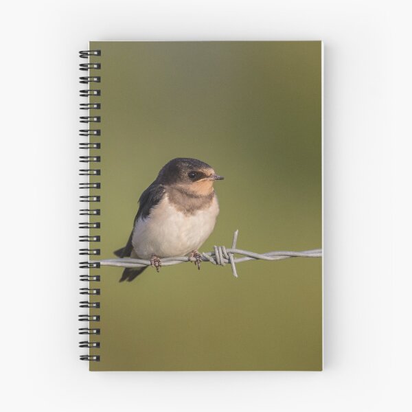 Item preview, Barn Swallow.. designed and sold by LaurenTucker.