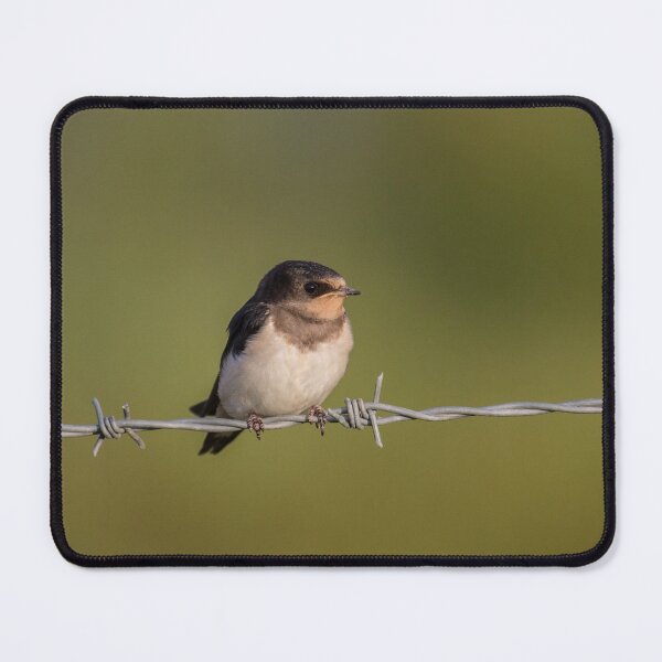 Item preview, Barn Swallow.. designed and sold by LaurenTucker.
