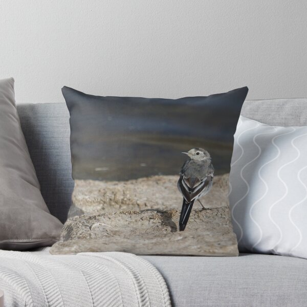 Item preview, Pied Wagtail designed and sold by LaurenTucker.