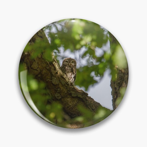 Item preview, Little Owl - Athene Noctua designed and sold by LaurenTucker.