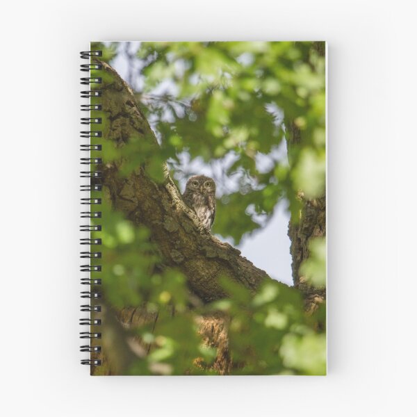 Item preview, Little Owl - Athene Noctua designed and sold by LaurenTucker.
