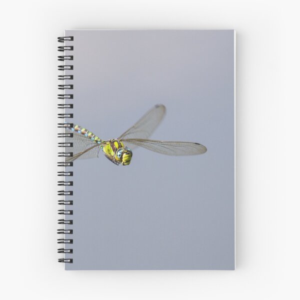 Item preview, Crystal Clear Migrant! designed and sold by LaurenTucker.