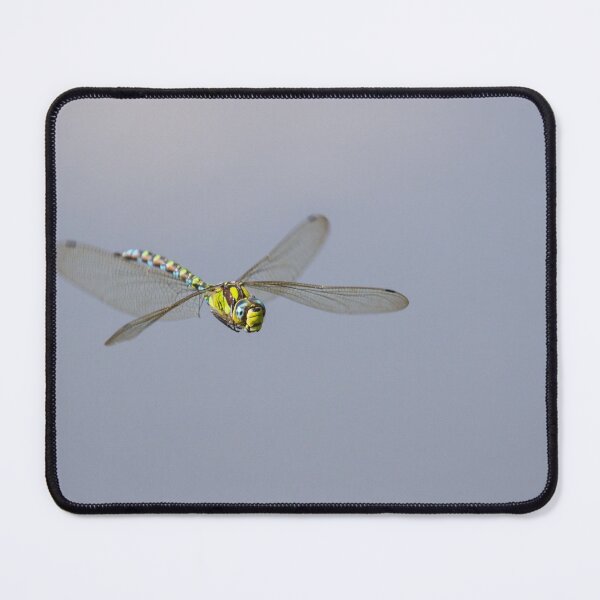 Item preview, Crystal Clear Migrant! designed and sold by LaurenTucker.