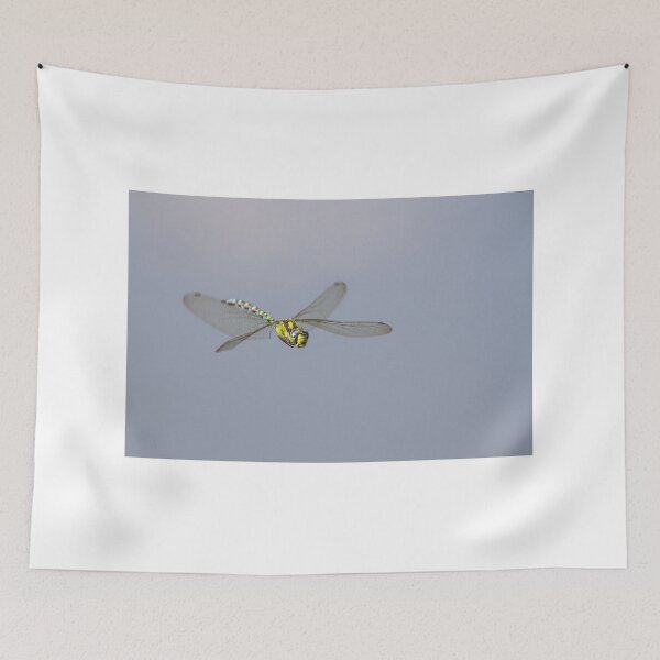 Item preview, Crystal Clear Migrant! designed and sold by LaurenTucker.