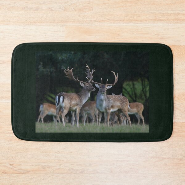 Item preview, Pair of Fallow Bucks designed and sold by ClaireChown.