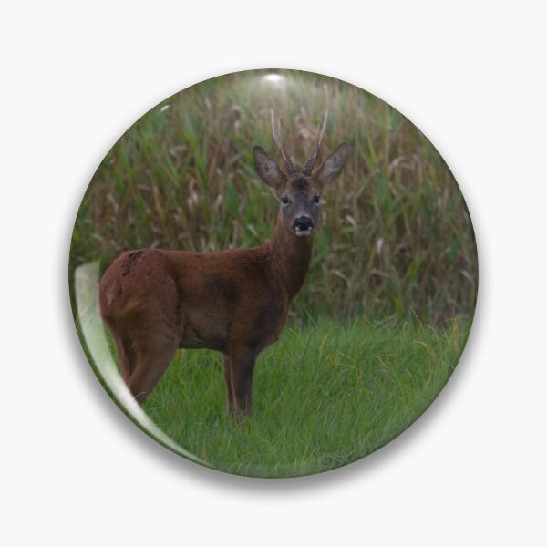 Item preview, Roe Deer... designed and sold by LaurenTucker.