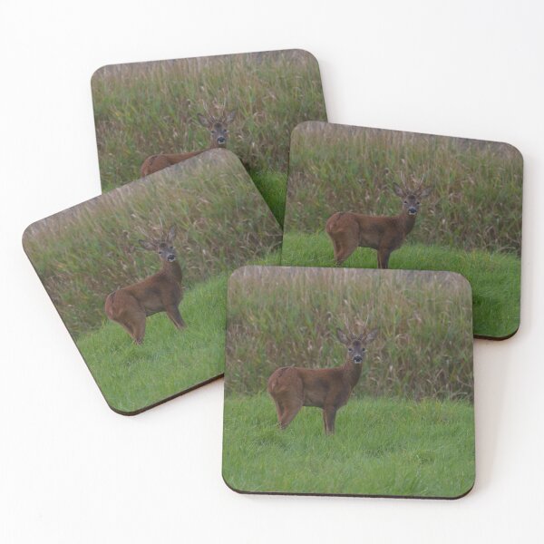Item preview, Roe Deer... designed and sold by LaurenTucker.