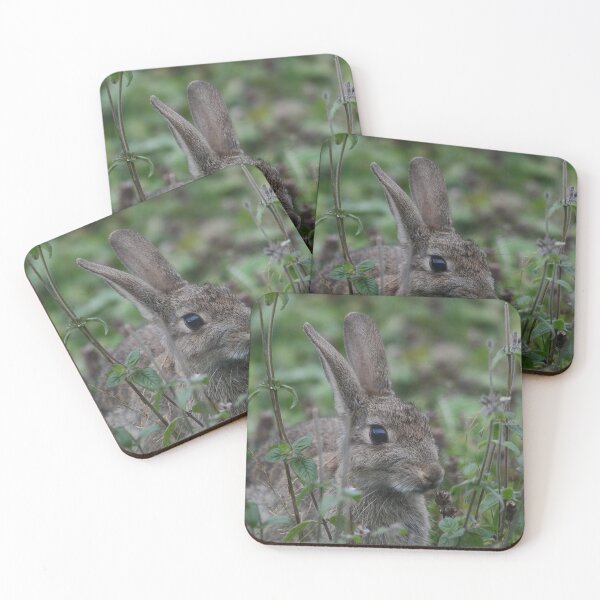 Item preview, Young Bunny Portrait designed and sold by ClaireChown.