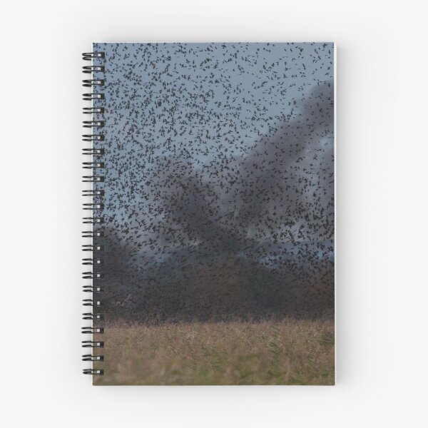 Item preview, Starling Roost! designed and sold by LaurenTucker.