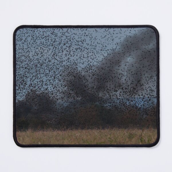Item preview, Starling Roost! designed and sold by LaurenTucker.