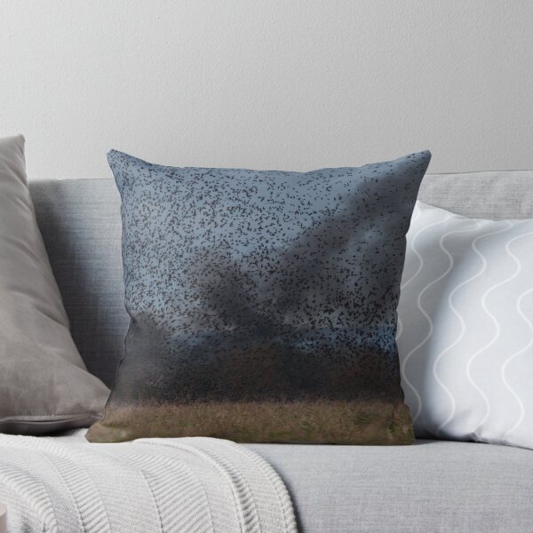 Item preview, Starling Roost! designed and sold by LaurenTucker.