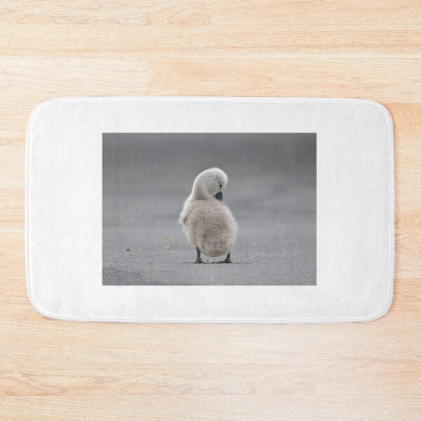Item preview, Fluffy young cygnet designed and sold by ClaireChown.